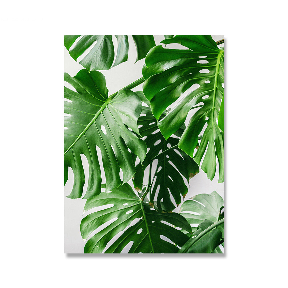 close up of garden canvas. green garden. green garden canvas. home decor. natural plants.