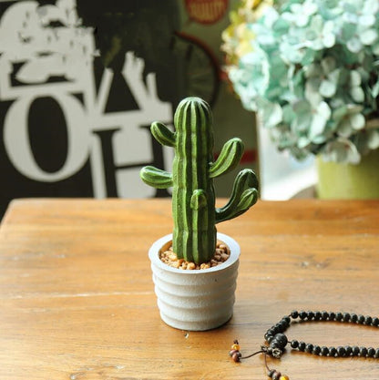 Modern Ceramic Cactus Home Stylish Accent Style C